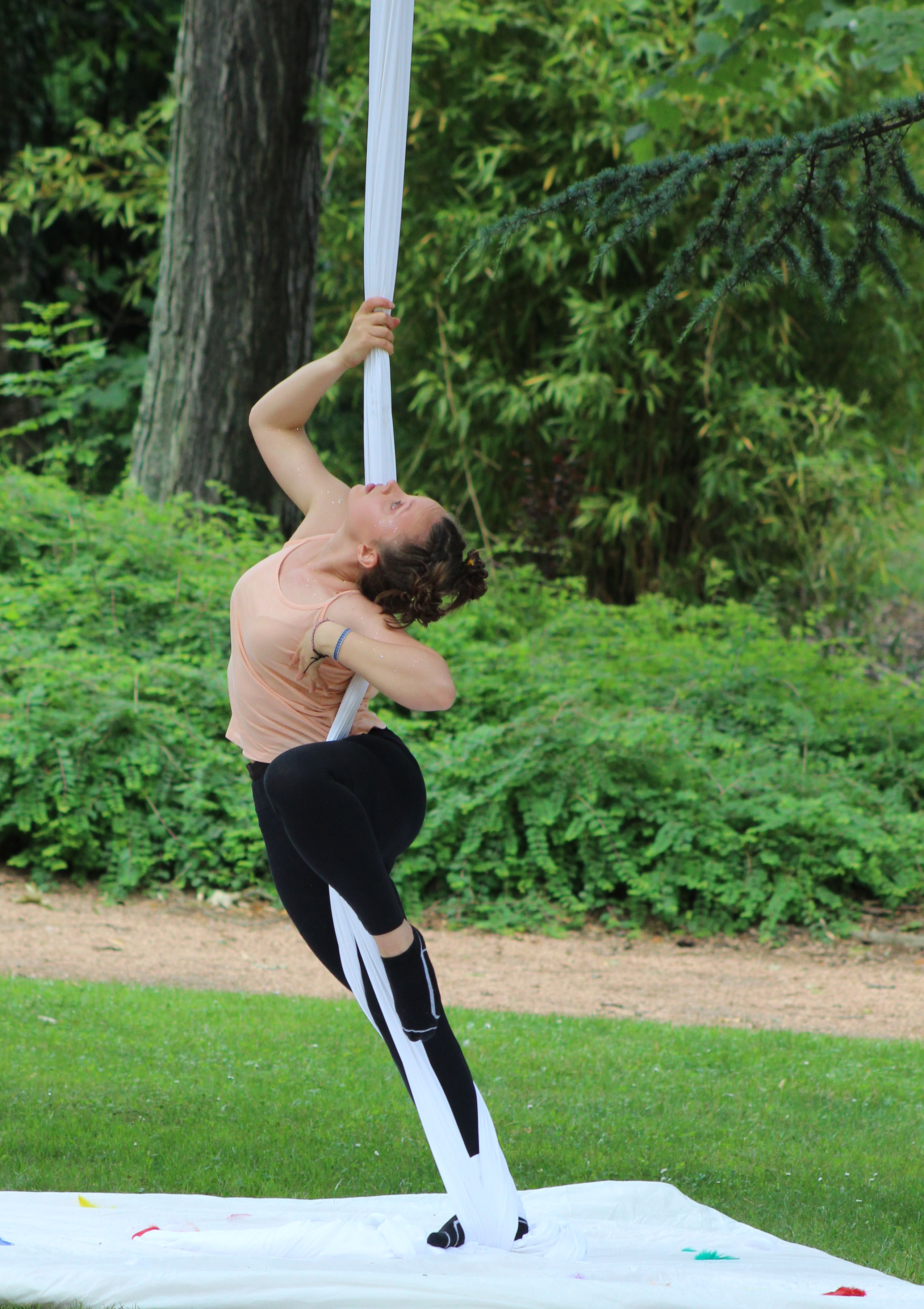 Cirque tissu